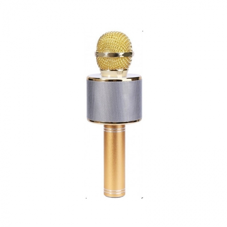 Išmanusis karaoke mikrofonas Spalva2 - Bronzinė